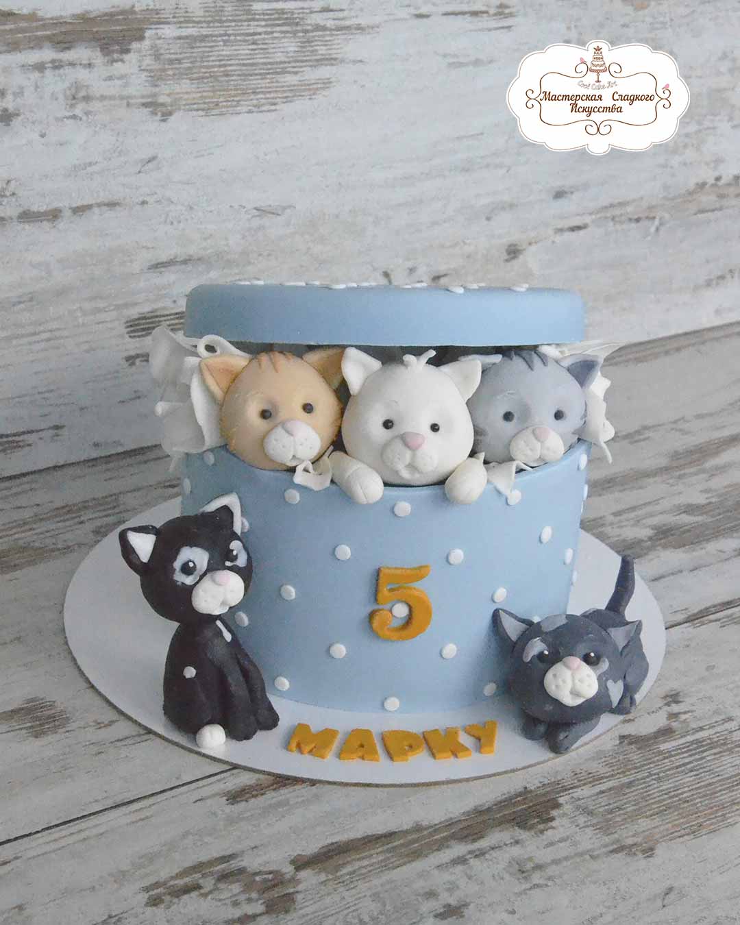 торт-на-5-лет-с-котиками